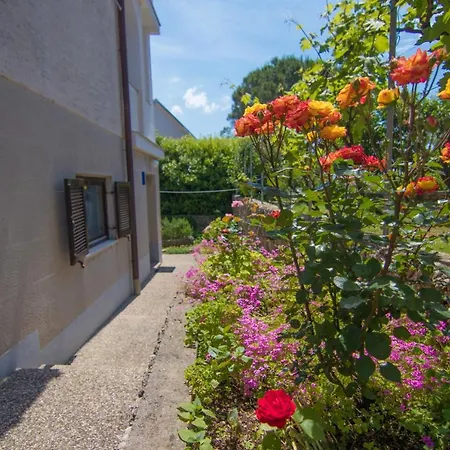 Mara Apartman Krk Town